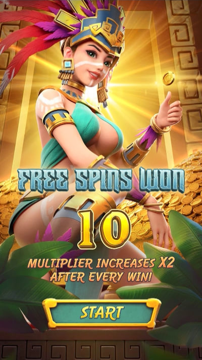 Esportes bets